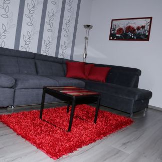 Szofi Apartman10