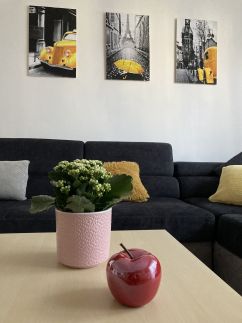 Origo Apartman4