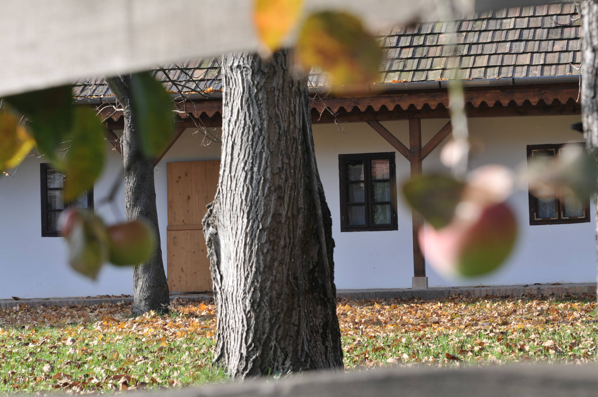 Kiskemence Vendégház – Kemence fotó 16