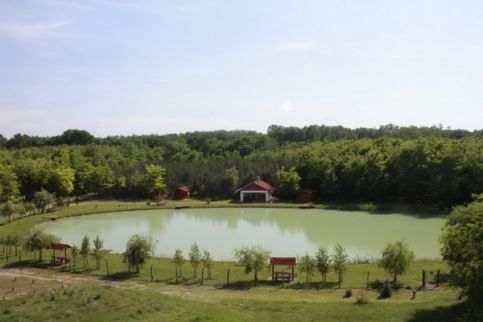 Potyka-tó Pihenőpark Kecskemét16