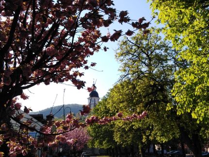 Sólyomsziget Vendégház – Nagymaros fotó 25