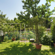 Tollár Apartmanház