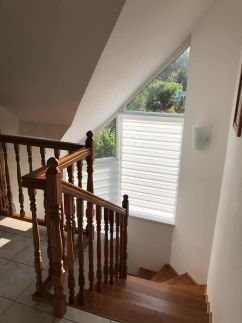 Greenhouse Apartman4