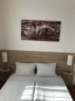 Greenhouse Apartman15