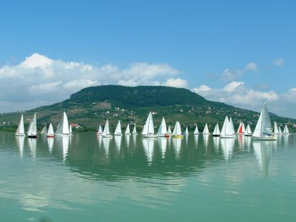 Aranyalma Panzió Étterem Rezi19