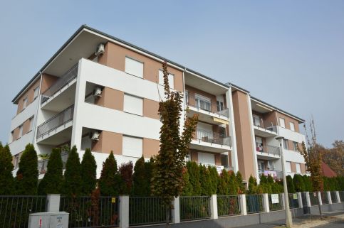 De Rosa Apartman1