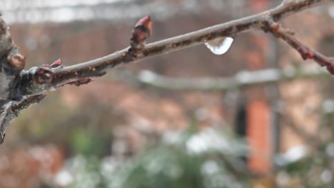 Nyírfa Apartmanház2