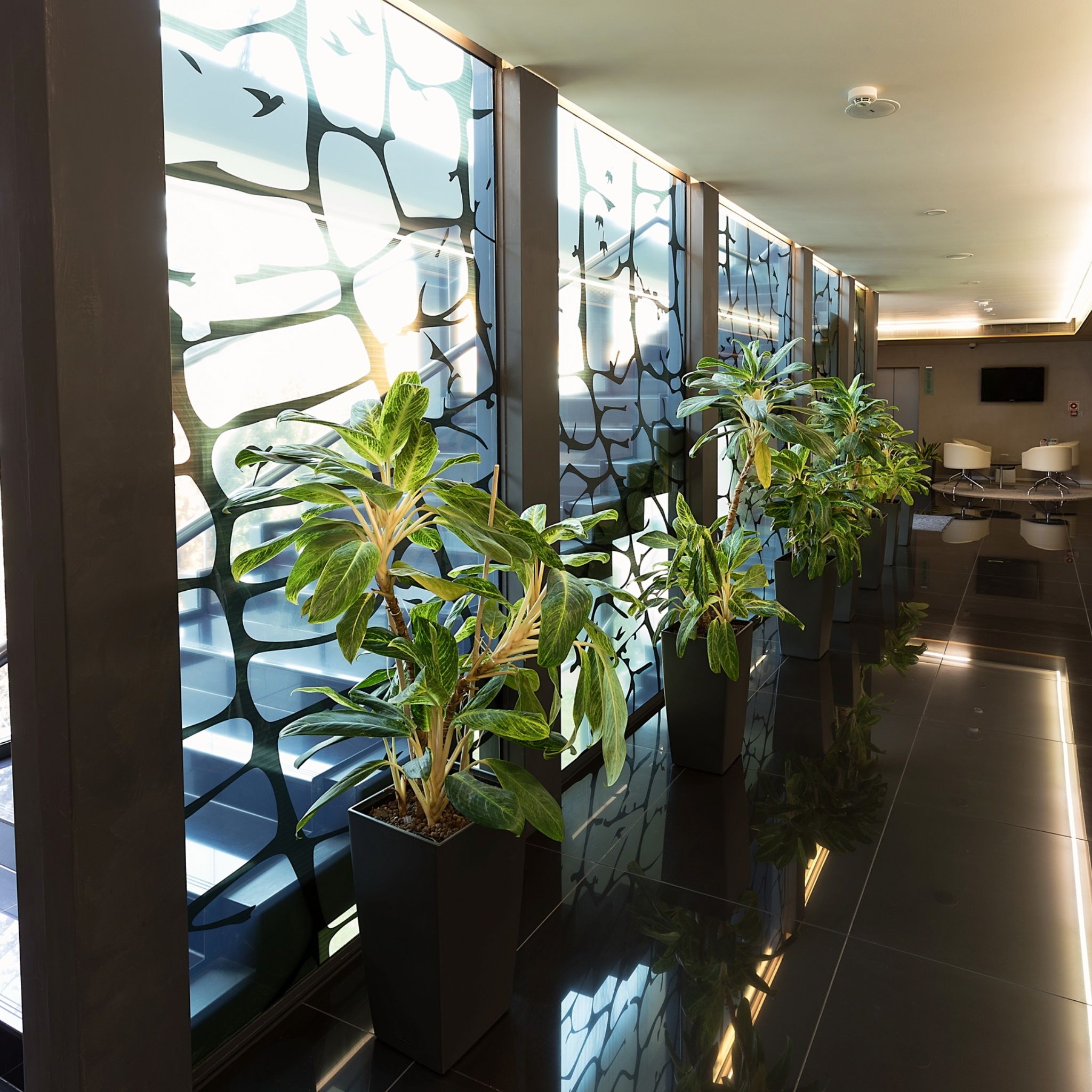 Zena Beauty&Med Center – Hévíz fotó 21
