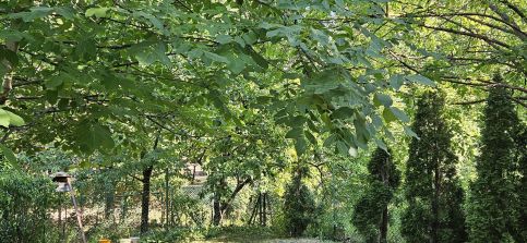Gyöngyi Vendégház – Balatonfüred fotó 13