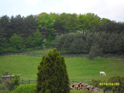 Relax-Porta Vendégház4