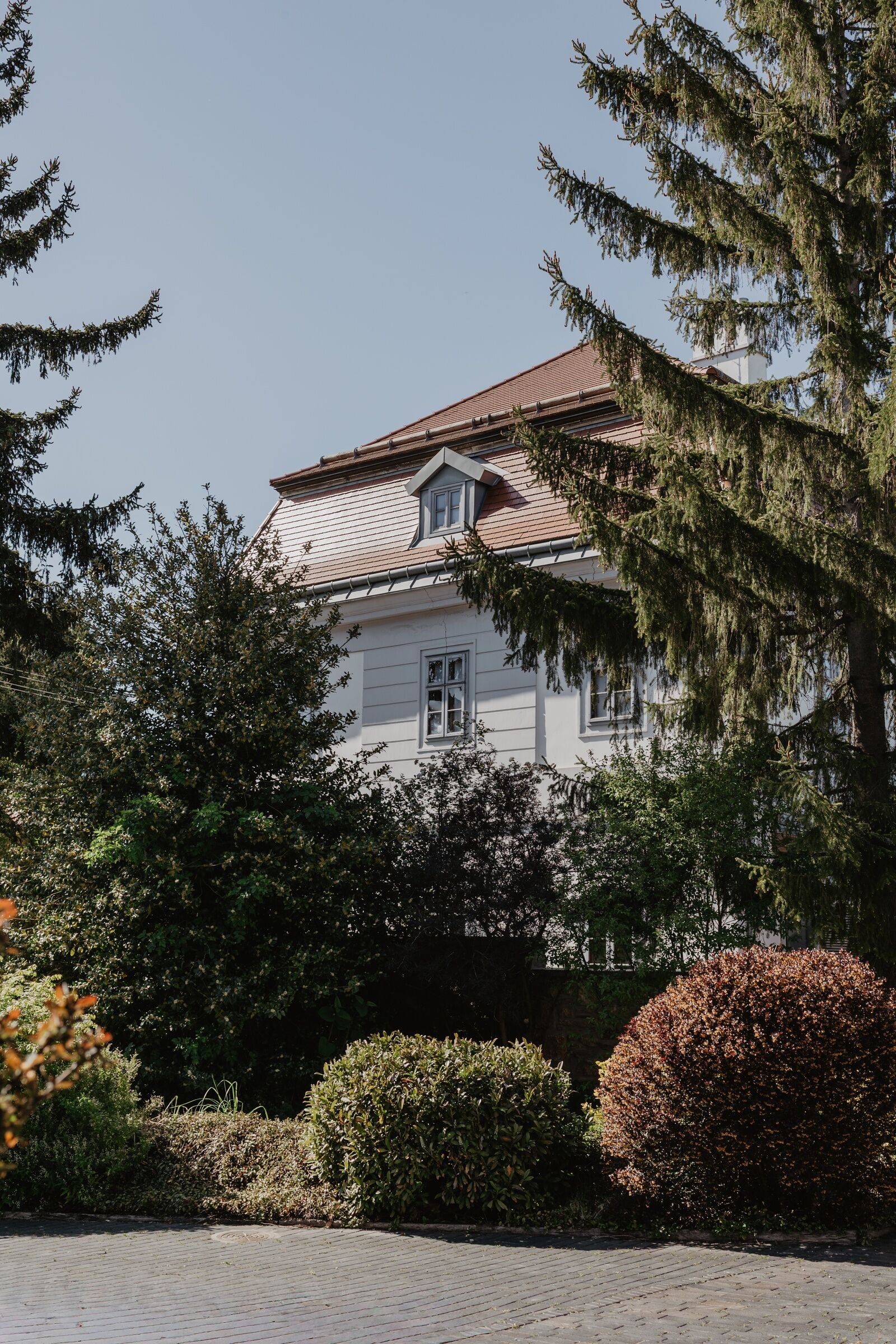 Bagolyvár Fogadó – Zirc fotó 14