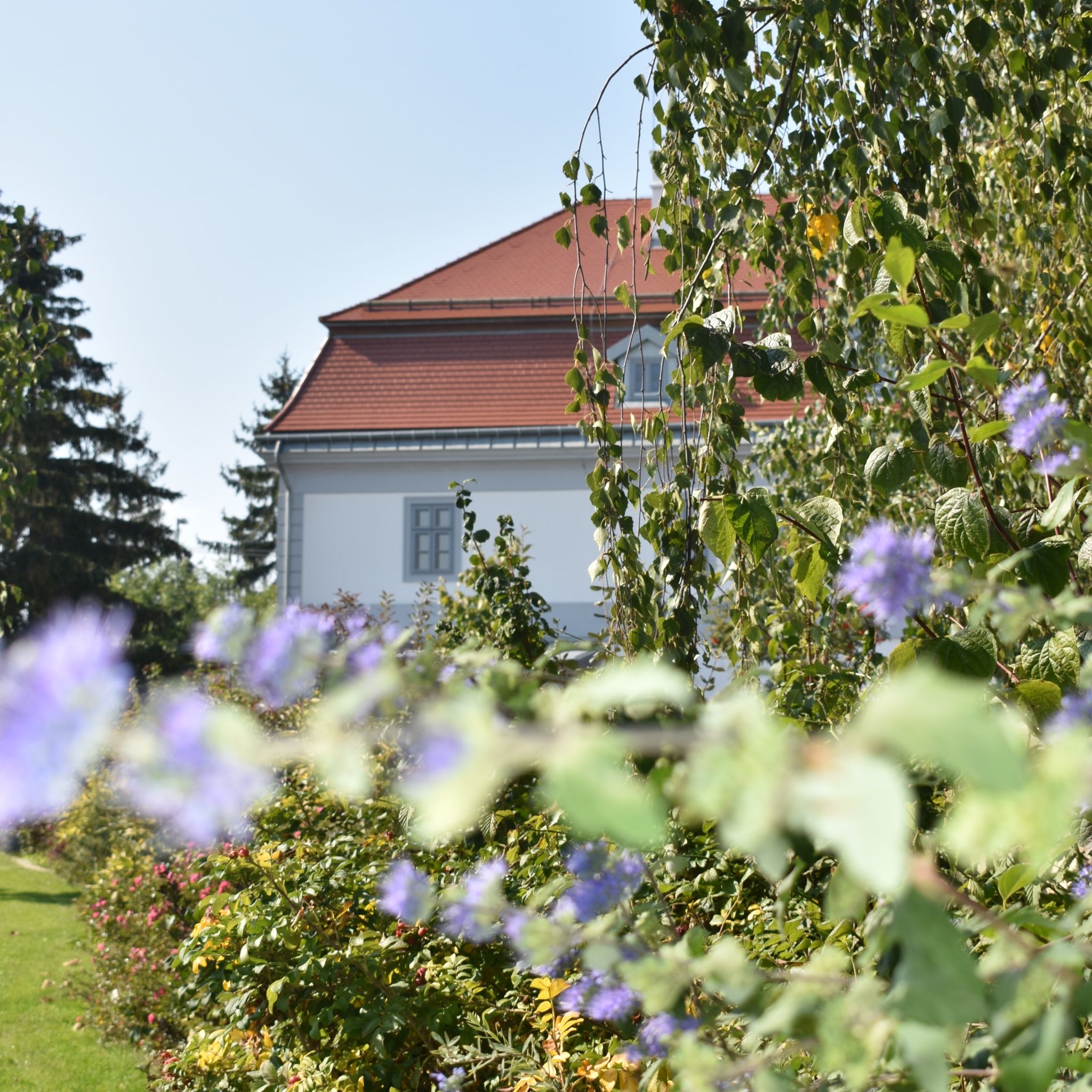 Bagolyvár Fogadó – Zirc fotó 8