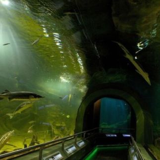 Brigitta Nyaralóház5