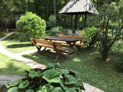 Erdei-lak Faházikó