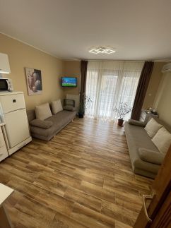 Ildikó Wellness Apartman9