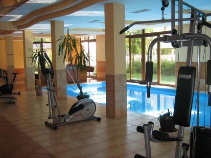 Ildikó Wellness Apartman