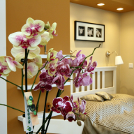 Orchidea Apartman