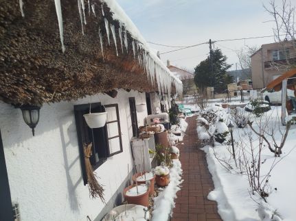 Nádasház102