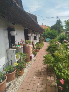 Nádasház95