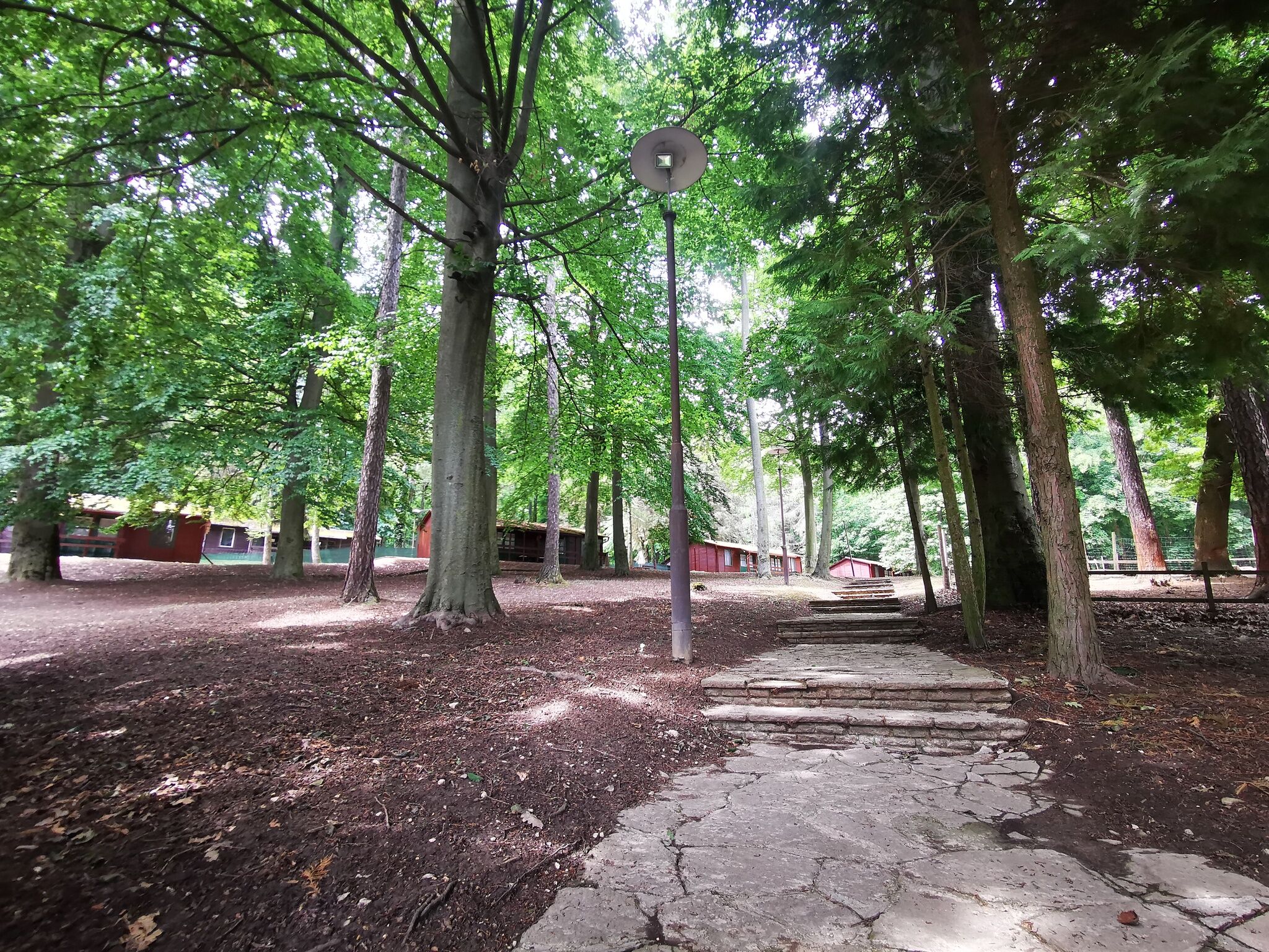 Déjá Vu Garden Faház – Zirc fotó 73