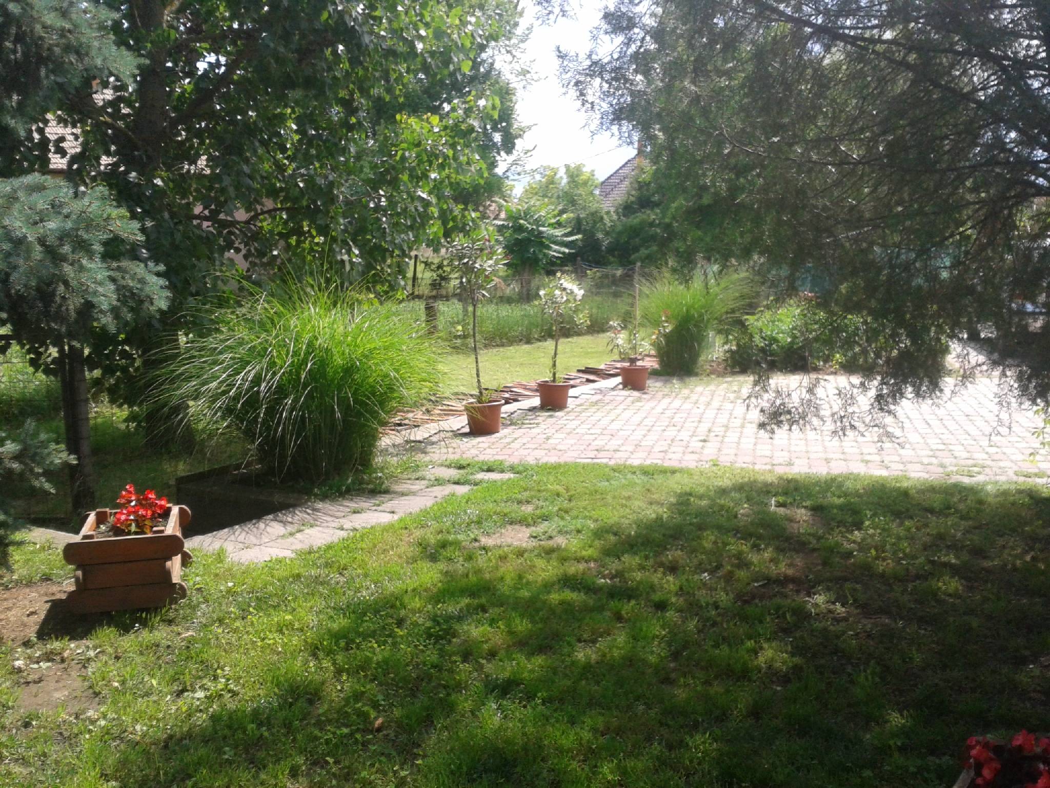 Boróka Apartman – Sarud