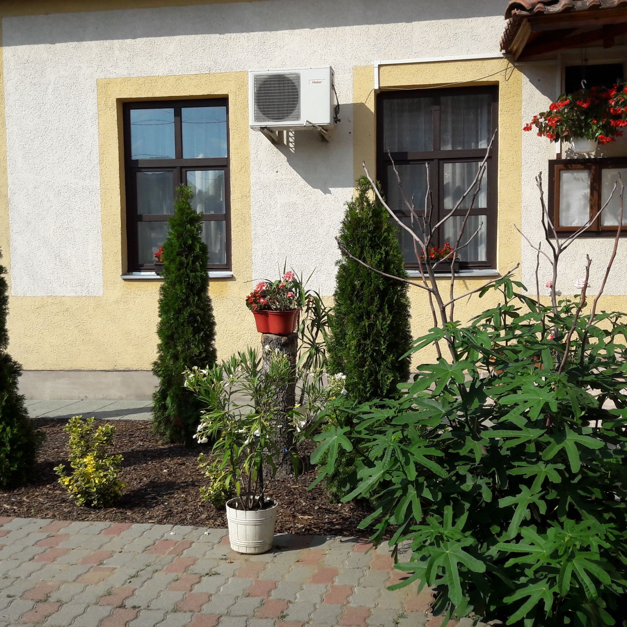 Boróka Apartman – Sarud fotó 5