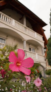 Kristály Apartman9