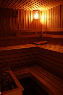 Erdei Wellness Vendégház13
