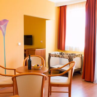 Karos Gold 813 Wellness Apartman10