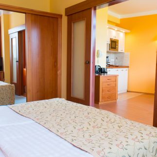 Karos Gold 813 Wellness Apartman5