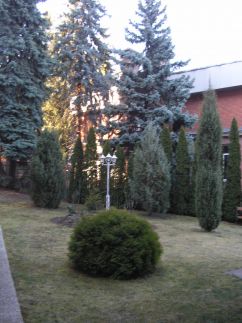 Kozy Apartman1