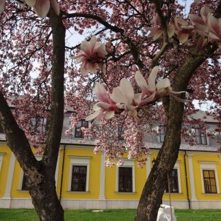 Forgách Kastély Hotel35