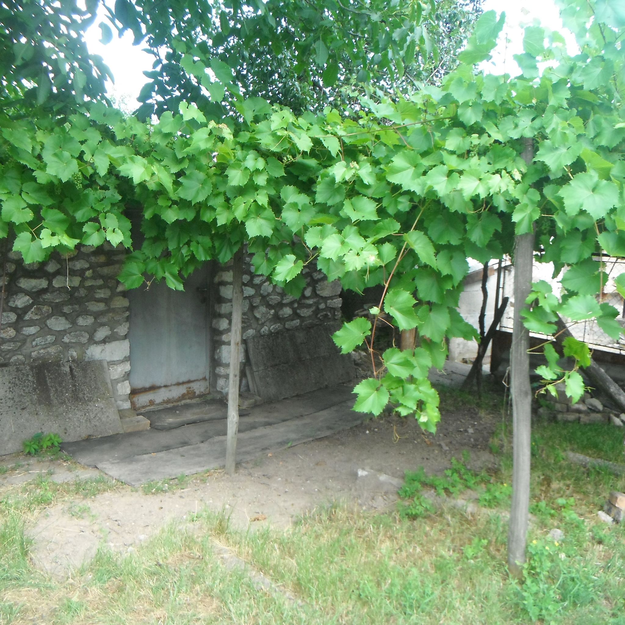 Holló Vendégház – Bélapátfalva fotó 14