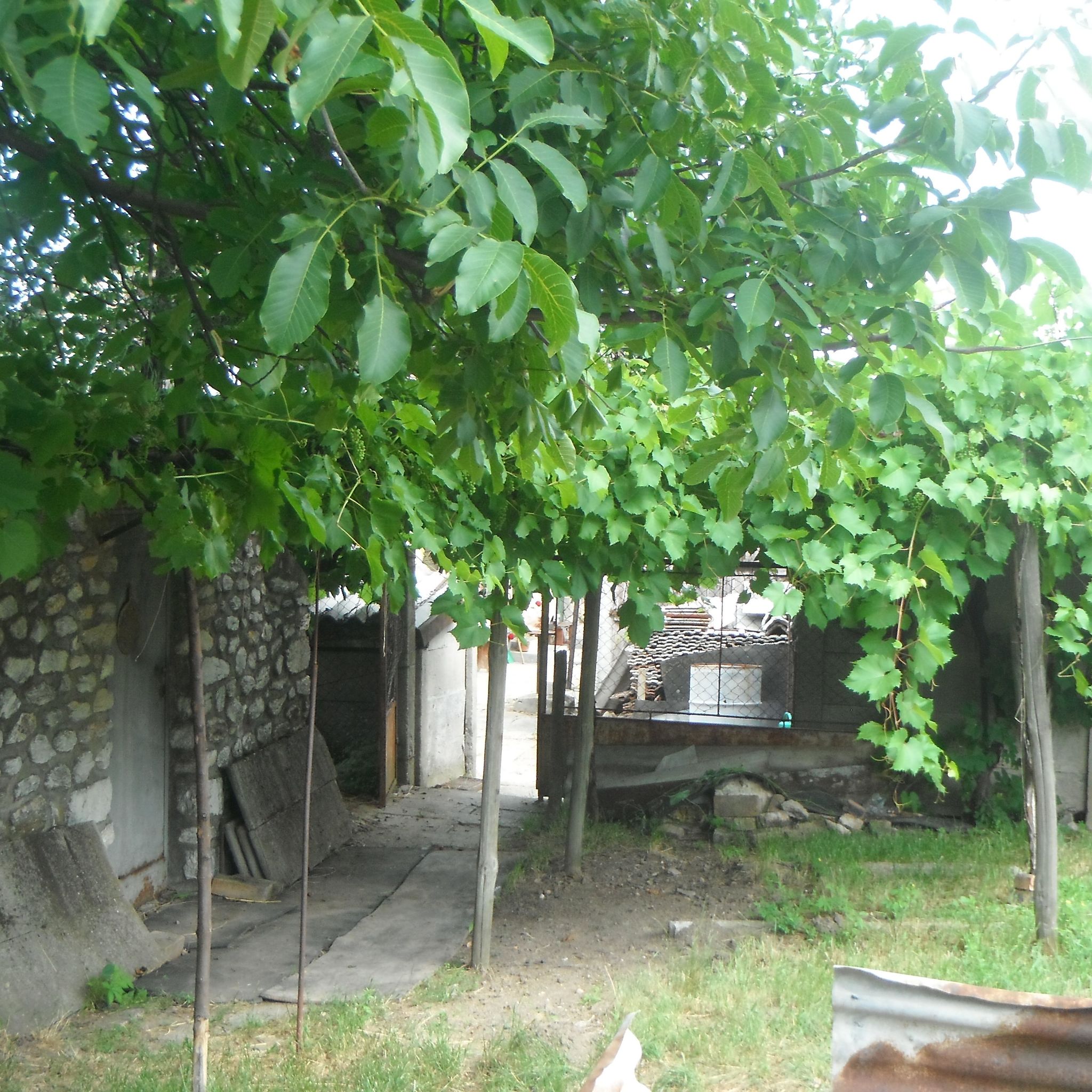 Holló Vendégház – Bélapátfalva fotó 16