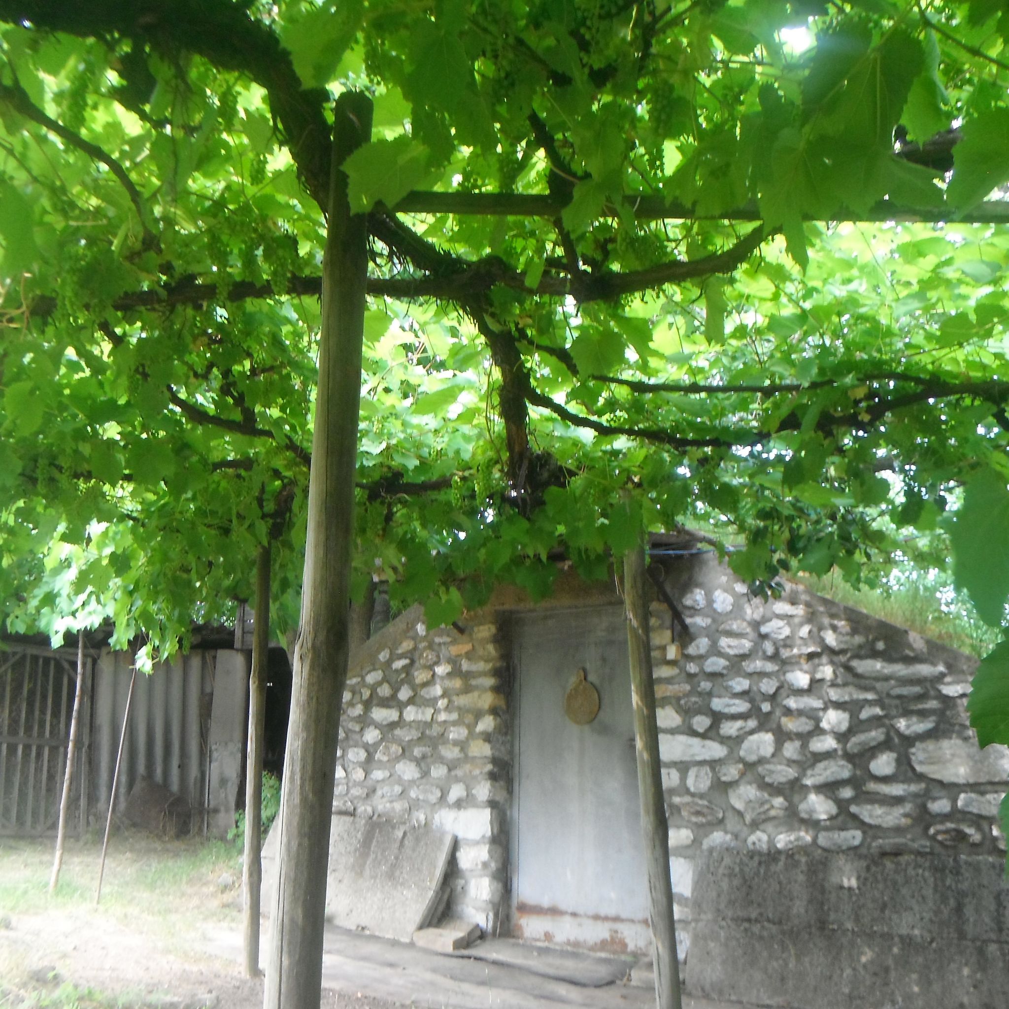 Holló Vendégház – Bélapátfalva fotó 17