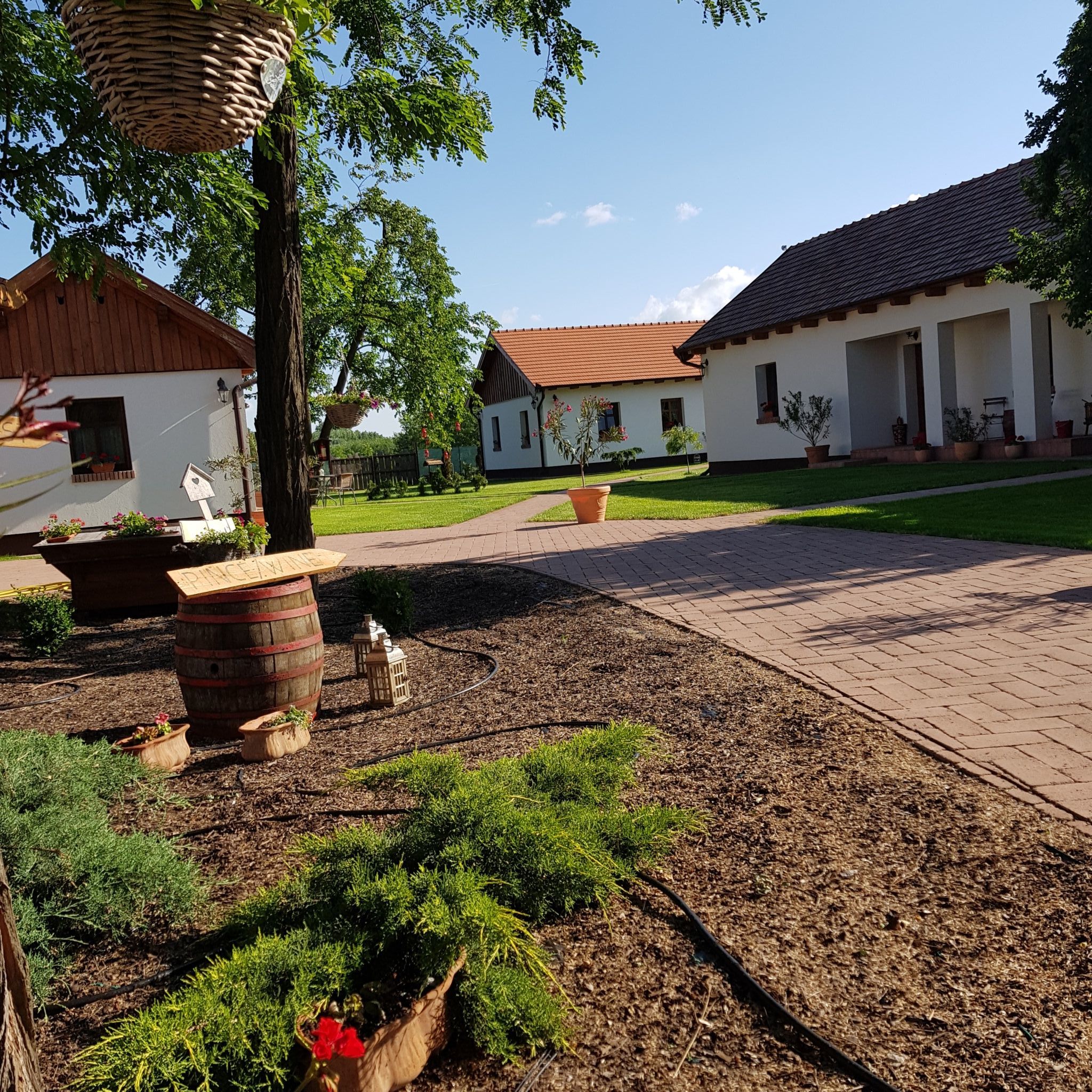 Tóth Vendégház – Újfehértó fotó 11
