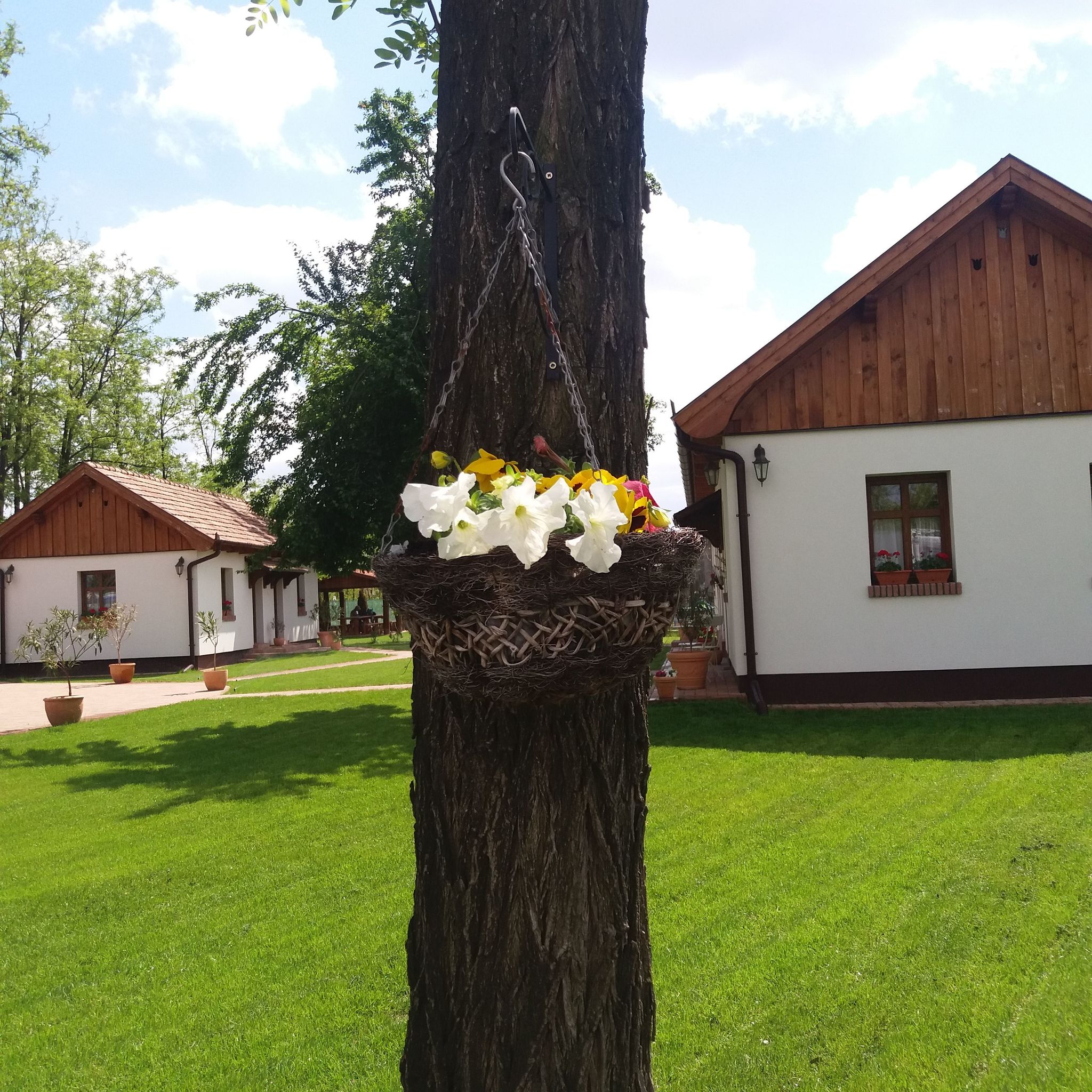 Tóth Vendégház – Újfehértó fotó 25