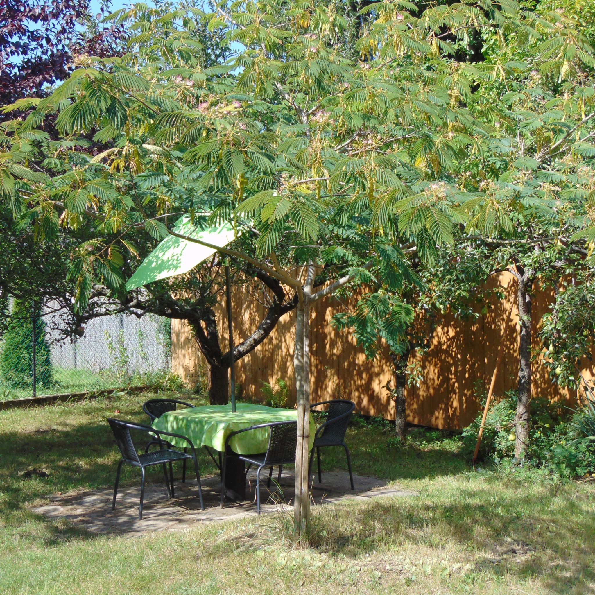 Vitéz Apartman – Tata fotó 2
