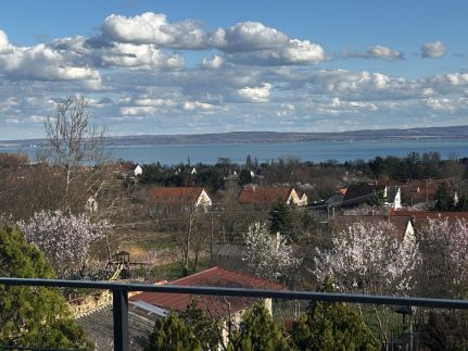 The Beach House Villa23