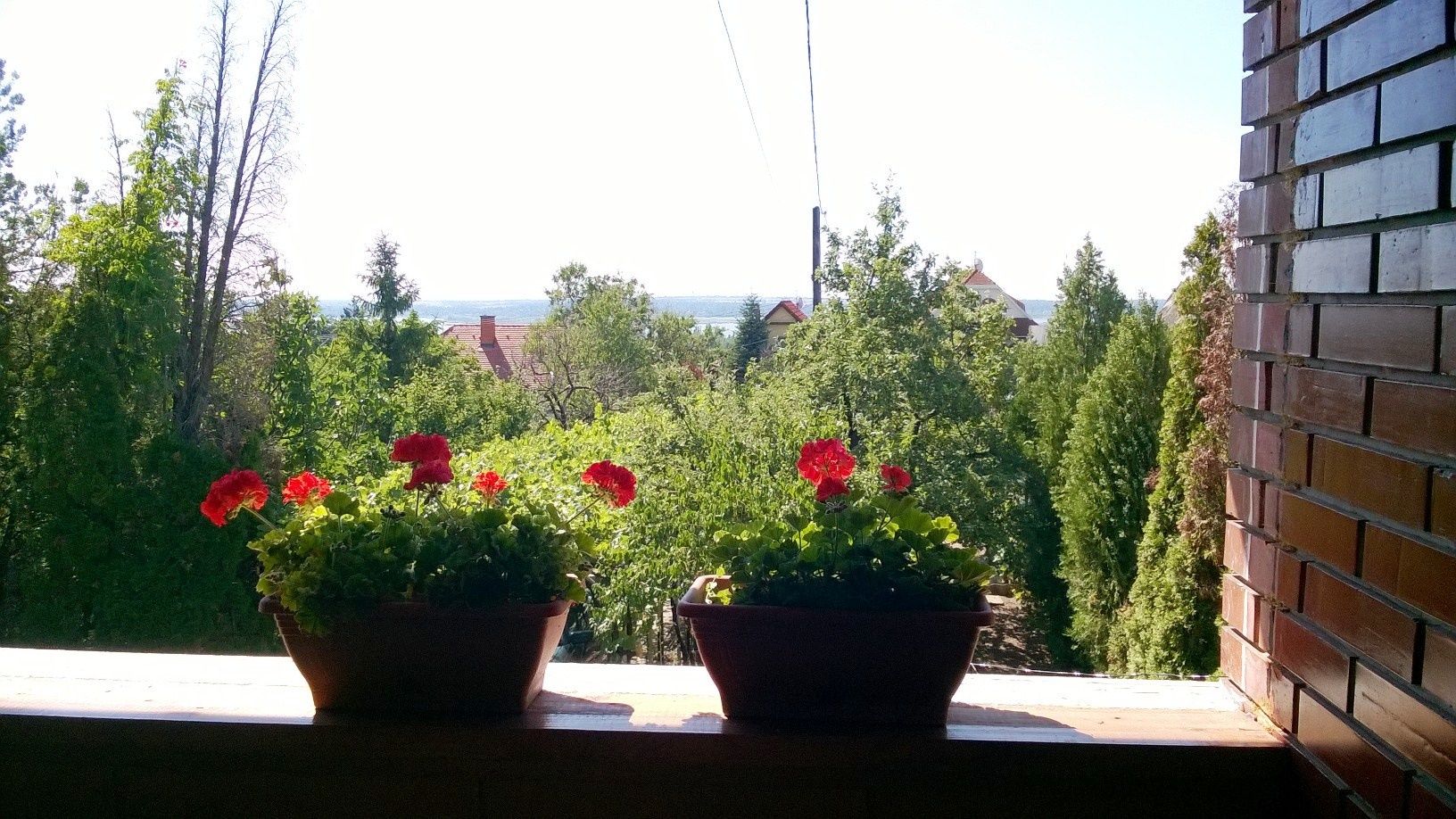 Lugas Vendégház – Sukoró fotó 8