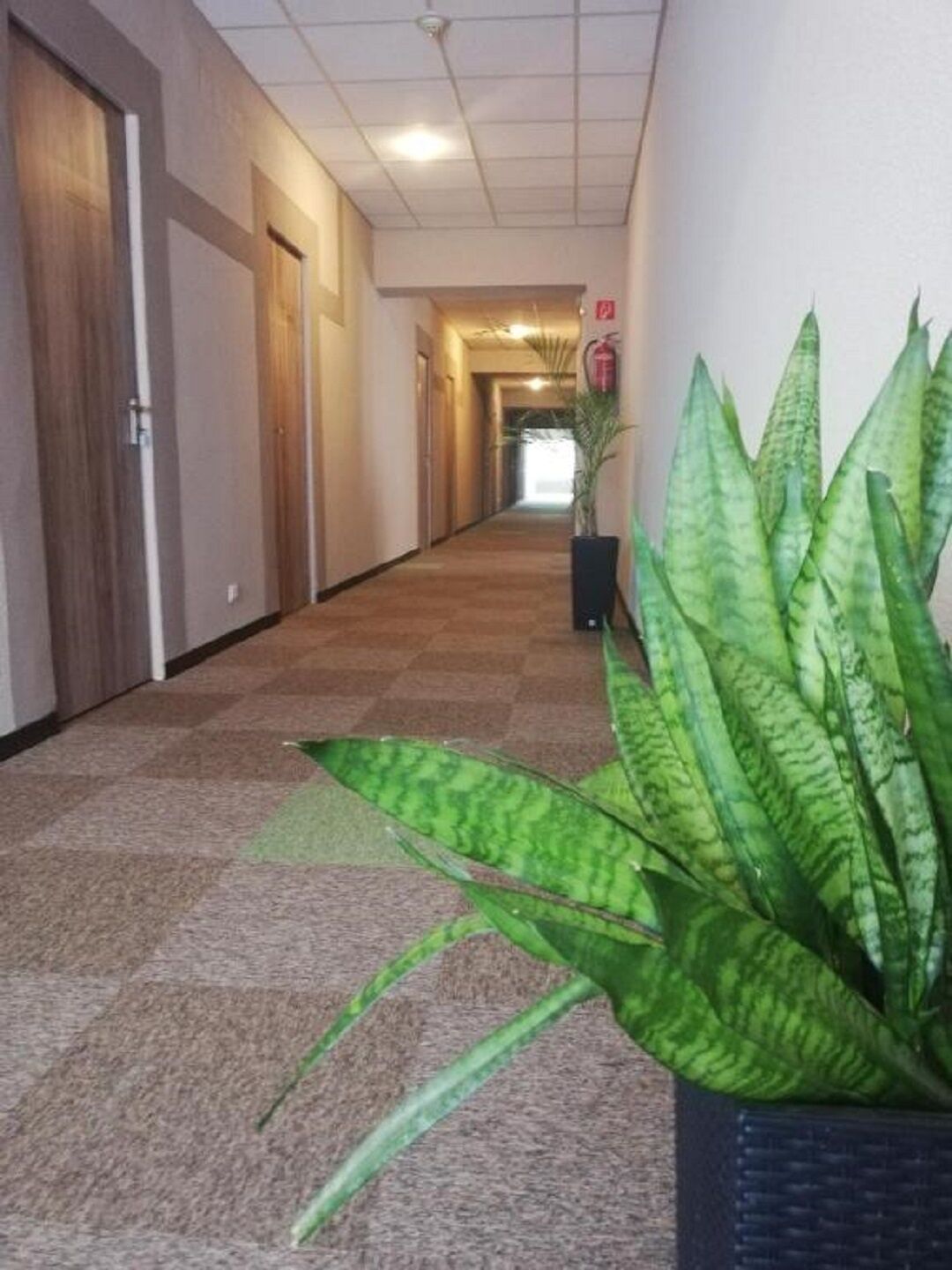 Sport Hotel És Étterem – Tatabánya fotó 12