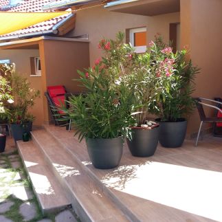 Római Apartmanház6