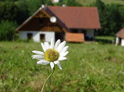 Pagony Pihenő Farm24