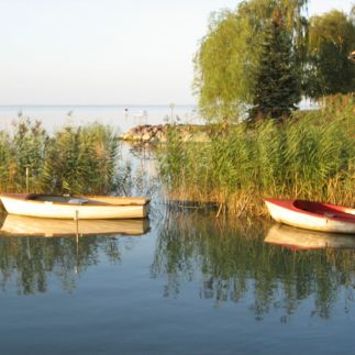 Siesta Vendégház7