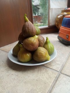 Árnyas Apartman20