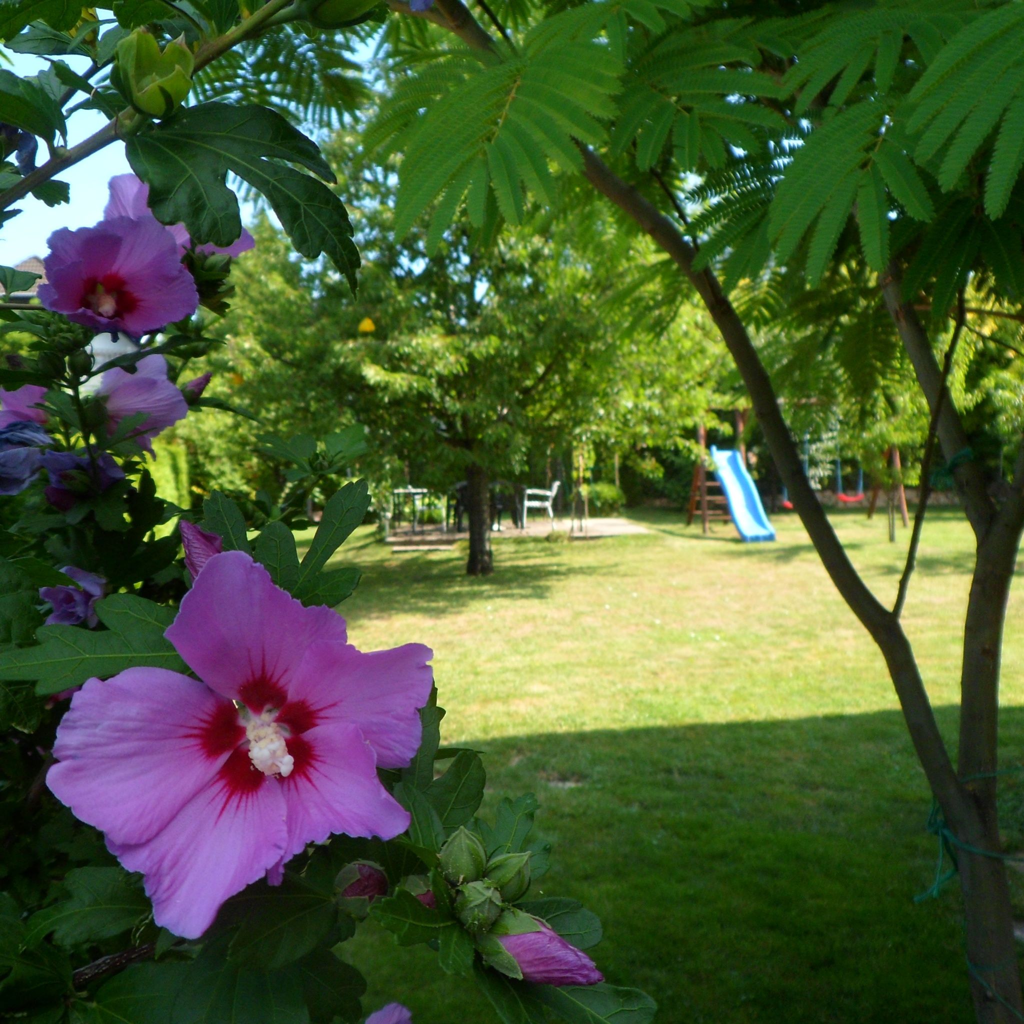 Éva Apartmanház – Gyenesdiás fotó 4