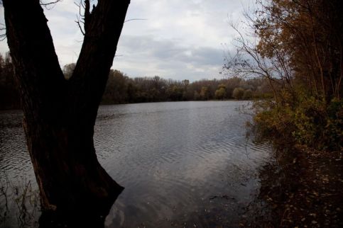 Szőke Tisza Pihenőpark – Nagyrév fotó 14