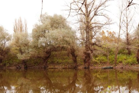 Szőke Tisza Pihenőpark – Nagyrév fotó 16