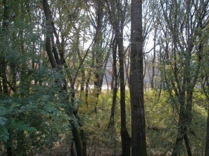Szőke Tisza Pihenőpark – Nagyrév fotó 29