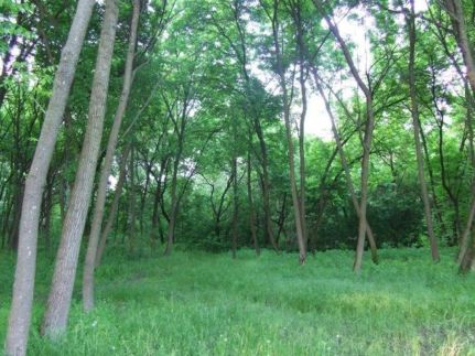 Szőke Tisza Pihenőpark – Nagyrév fotó 31
